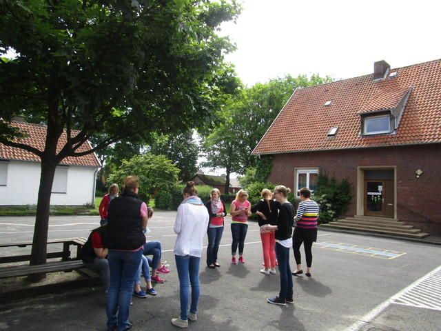 IMG 0513