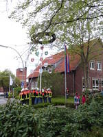 Maibaum Aufstellen