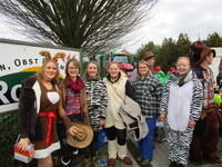 IMG 4723
