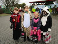 IMG 4726