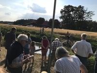 Sommersonnenwende am Dinkelhof